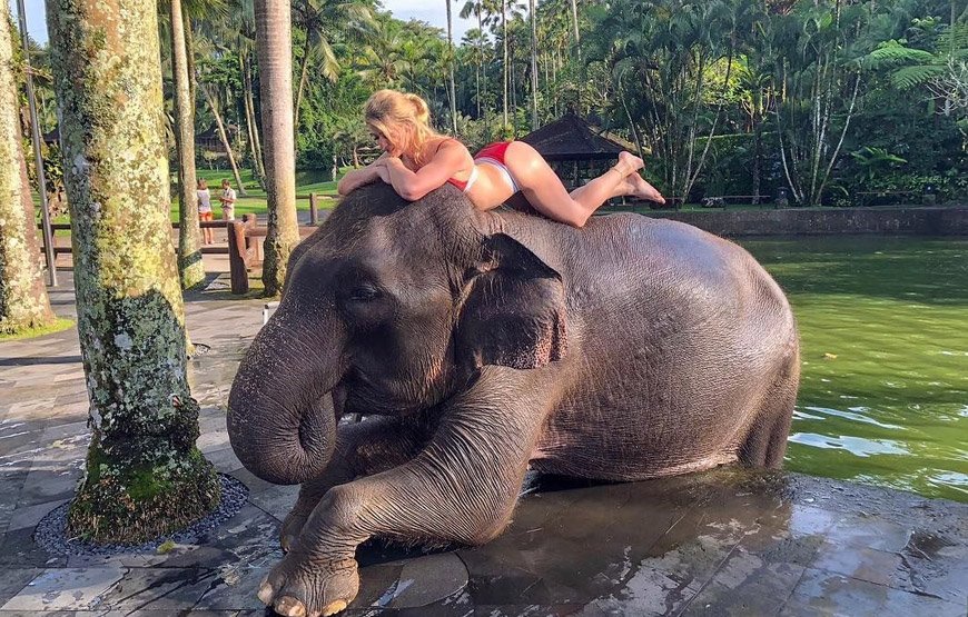 Elephant-Expansion-Bali-SPatiatur-b