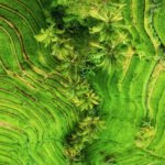 Spatiatur-Bali-transport-Slideshow-2